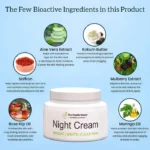 The Health Healer Night Cream | Glowing & Acne-Free Skin